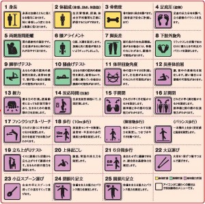 身長・体組成(体重、BMI、体脂肪)・骨密度・足底圧(姿勢)・両親指間距離・膝アライメント・脚長差・下肢外旋角・脚上げテスト・脚曲げテスト・体幹回旋角度・長座体前屈・握力・反応時間(反射)・手開閉・足開閉・ファンクショナル・リーチ・歩行(10m歩行、障害物歩行、バランス歩行)・立ち上がりテスト・上体起こし・6分間歩行・大豆運び・小豆スプーン運び・閉眼片足立・開眼片足立