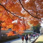 奈良生涯元気の会2013年12月定例会写真(その1)